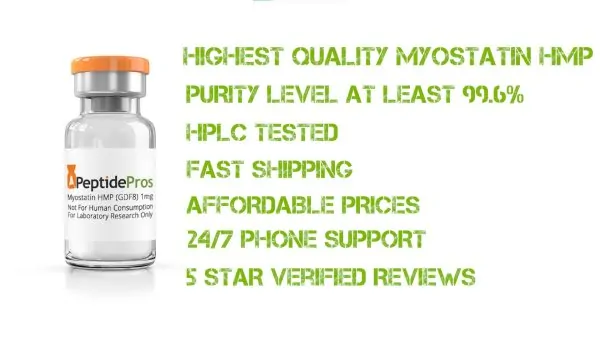 myostatin