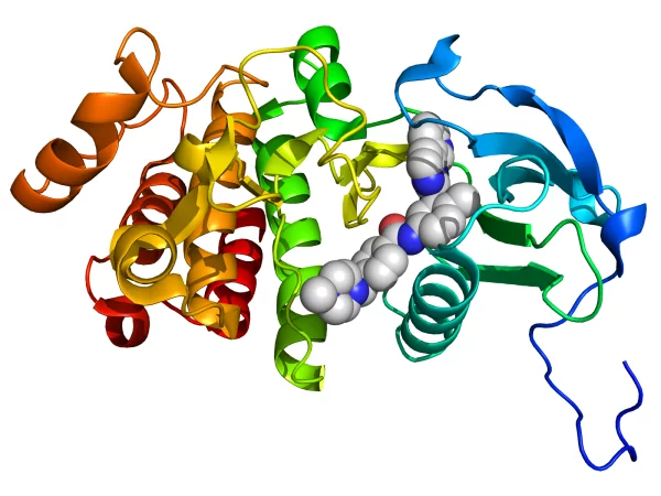 Adipotide peptide